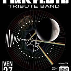 Concert Pink Floyd Tribute band