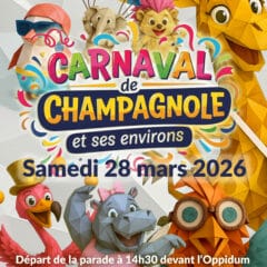 Carnaval « Les Z&rsquo;animos »