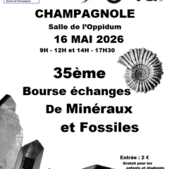 35ème Bourse d&rsquo;échanges de Minéraux et Fossiles