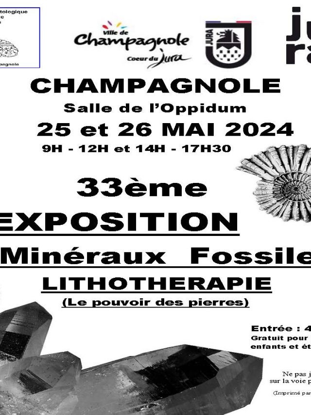 33 ème Exposition Fossiles & Minéraux