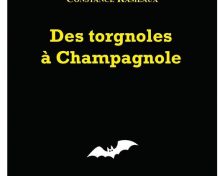 « Des torgnoles à Champagnole » un polar 100% local ….